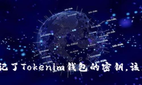 如果忘记了Tokenim钱包的密钥，该怎么办？