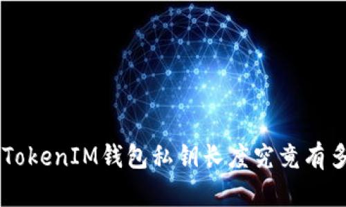 TokenTokenIM钱包私钥长度究竟有多重要？