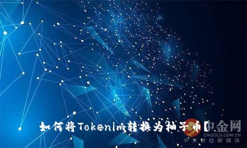 如何将Tokenim转换为柚子币？