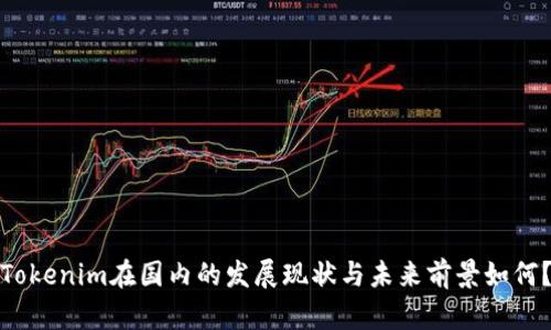 Tokenim在国内的发展现状与未来前景如何？