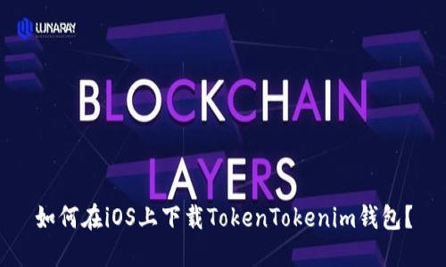 如何在iOS上下载TokenTokenim钱包？