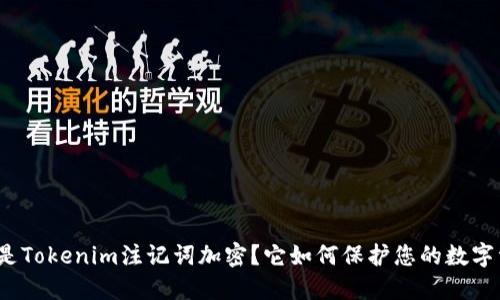 什么是Tokenim注记词加密？它如何保护您的数字资产？